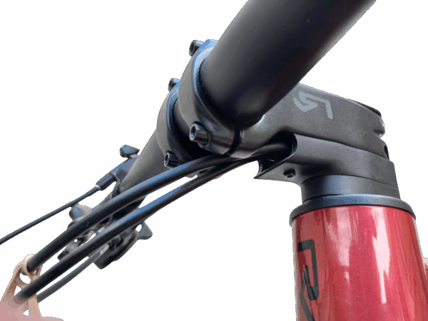 Bicicleta RALI MTB 29" - Imagen 10