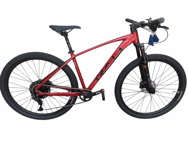 Bicicleta RALI MTB 29"