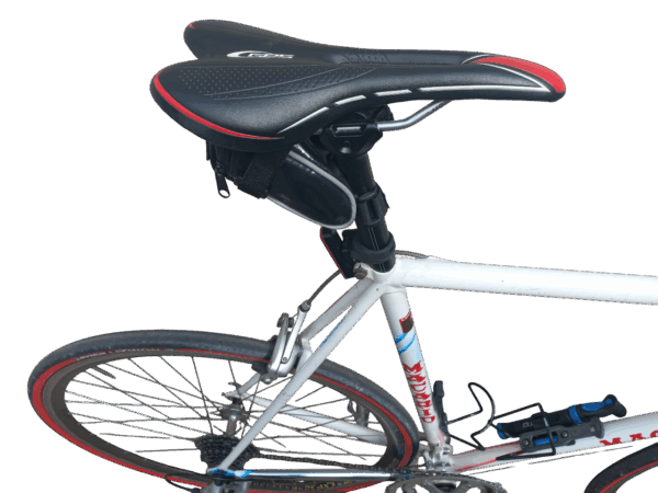 Bicicleta MACARIO Clásica USADA - Imagen 2