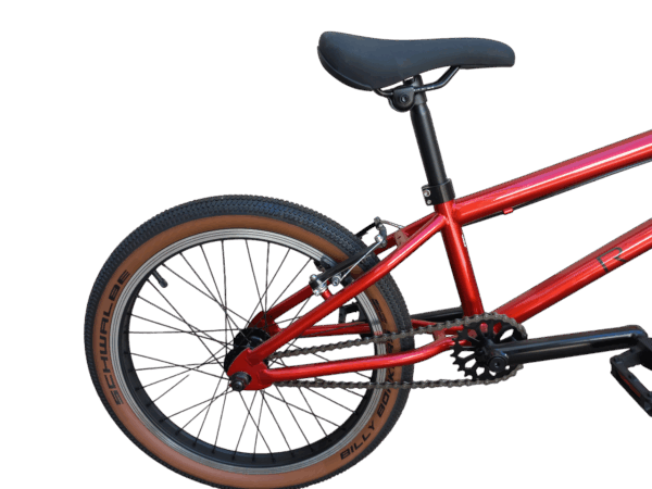 Bicicleta RALI Street BMX 20" - Imagen 5