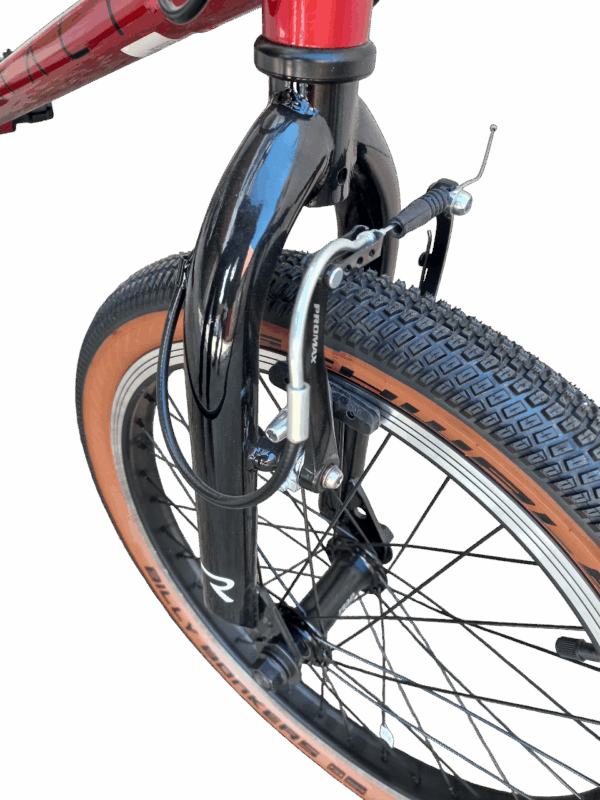 Bicicleta RALI Street BMX 20" - Imagen 4